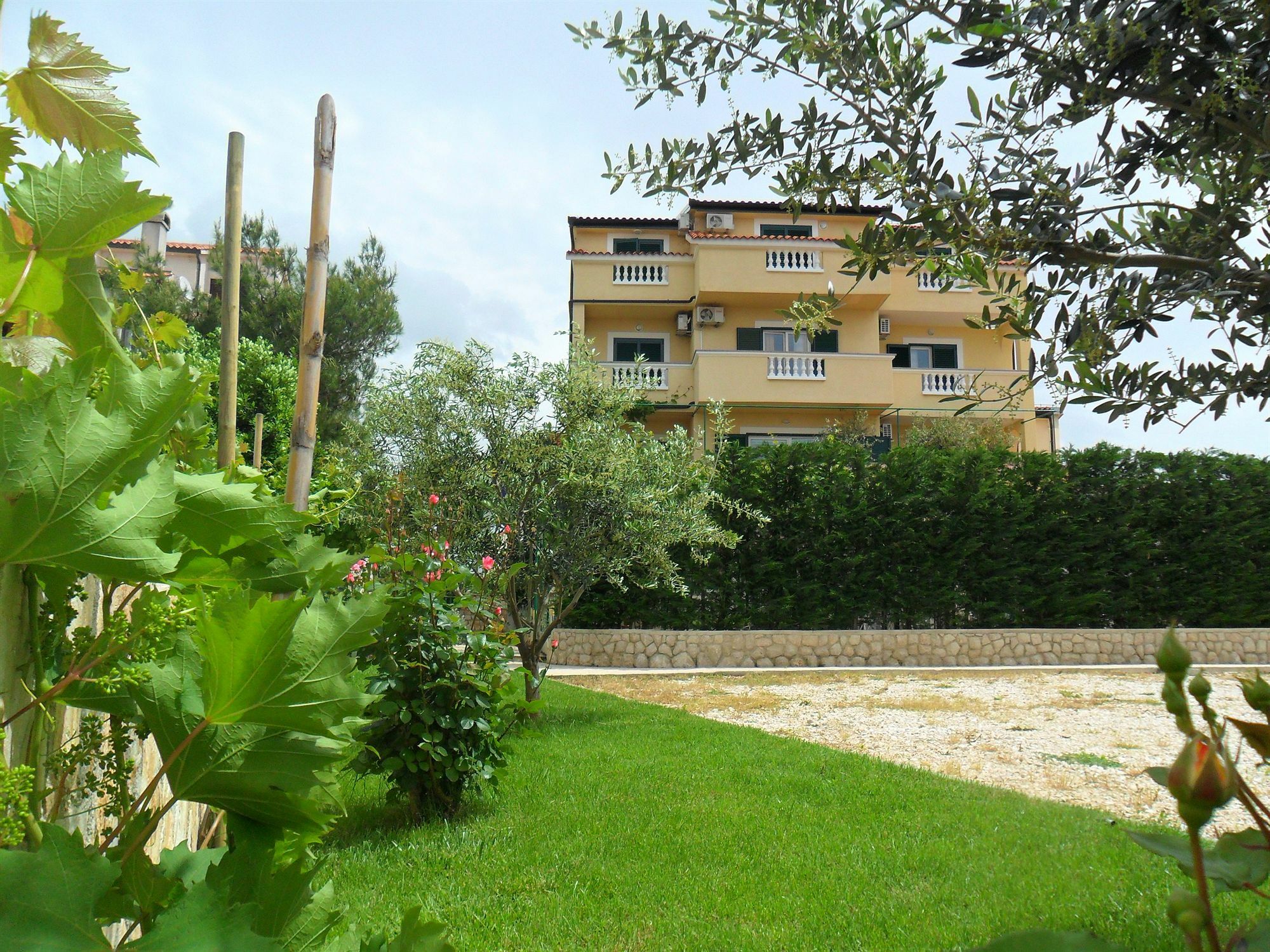Pansion Villa Bok Novalja Exterior photo